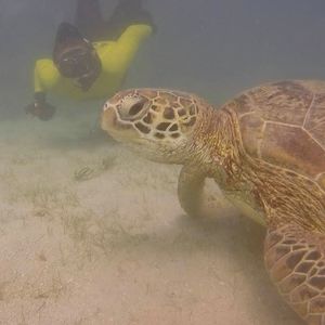 Meet your Posher, Kellie